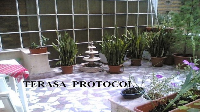 Ingrijire batran, in ture de 3 zile, intern, 60 milioane in 15 zile